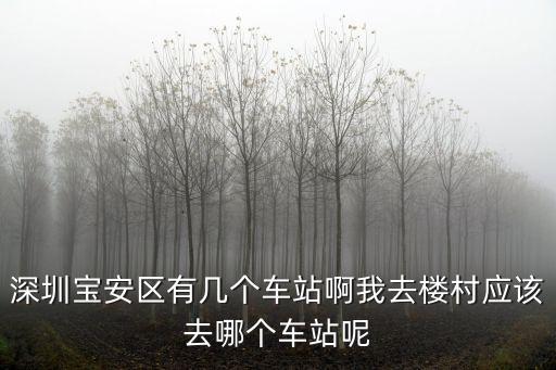 深圳寶安區有幾個車站啊我去樓村應該去哪個車站呢