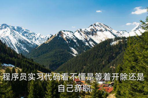 深圳程序員代碼，17歲剛畢業(yè)的妹子想去深圳找PHP程序員工作可是只會(huì)常用的html
