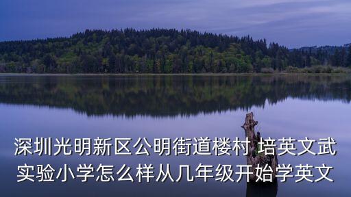 深圳光明新區公明街道樓村 培英文武實驗小學怎么樣從幾年級開始學英文