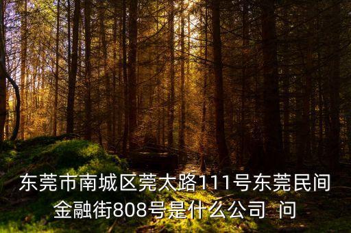 東莞市南城區(qū)莞太路111號(hào)東莞民間金融街808號(hào)是什么公司  問(wèn)