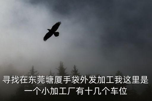 尋找在東莞塘廈手袋外發加工我這里是一個小加工廠有十幾個車位