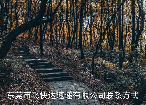 東莞市飛達尋呼臺，東莞市電話追撥器哪里有賣
