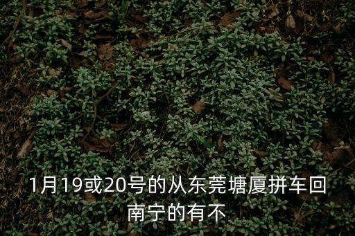 1月19或20號的從東莞塘廈拼車回南寧的有不