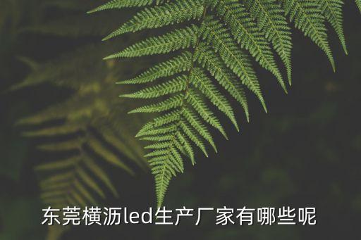 東莞橫瀝led生產廠家有哪些呢