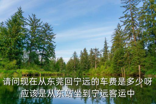 請問現在從東莞回寧遠的車費是多少呀應該是從東站坐到寧遠客運中