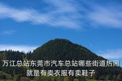 萬江總站東莞市汽車總站哪些街道熱鬧就是有賣衣服有賣鞋子