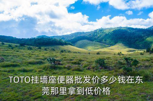 TOTO掛墻座便器批發(fā)價(jià)多少錢在東莞那里拿到低價(jià)格