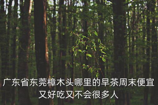 廣東省東莞樟木頭哪里的早茶周末便宜又好吃又不會很多人
