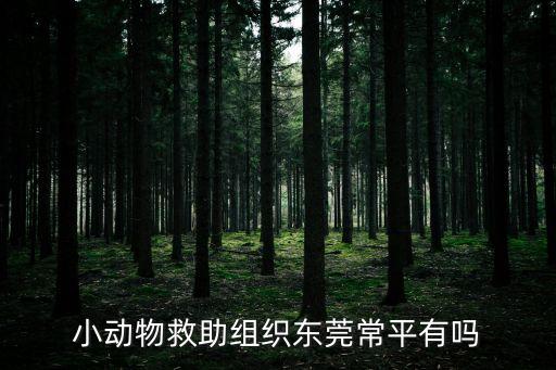 小動物救助組織東莞常平有嗎