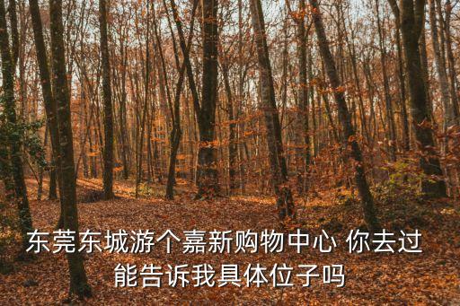 東莞金科集美天宸位置，東莞東城游個嘉新購物中心 你去過 能告訴我具體位子嗎