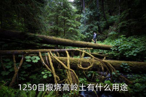 東莞涂料級(jí)煅燒高嶺土，1250目煅燒高嶺土有什么用途