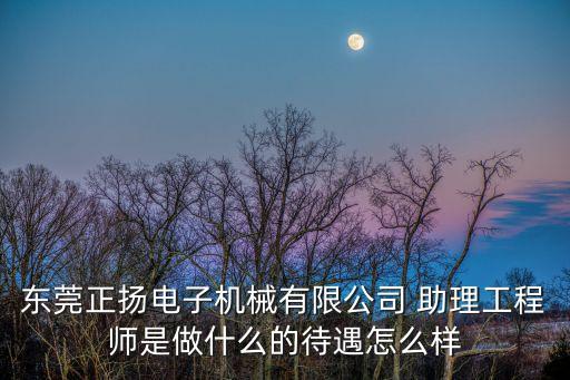 東莞正揚(yáng)電子獵聘，東莞正揚(yáng)電子廠是做什么的