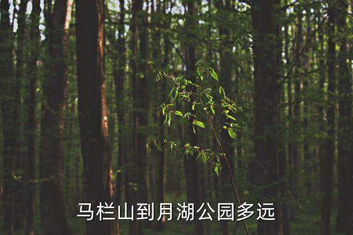 東莞茶山月湖路多少公里，東莞的大朗鎮(zhèn)和茶山鎮(zhèn)距離多遠(yuǎn)