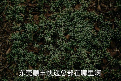 順豐速運(yùn)東莞東城網(wǎng)點(diǎn)，東莞順豐快遞總部在哪里啊