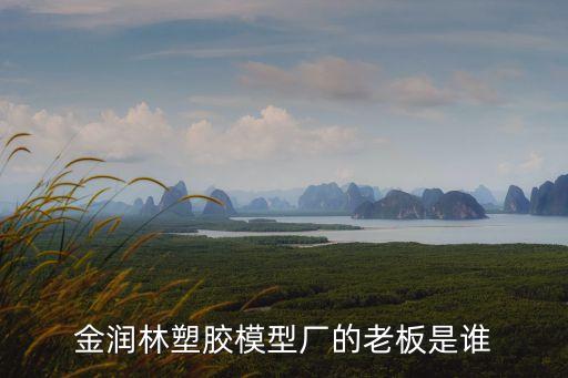 金潤林塑膠模型廠的老板是誰