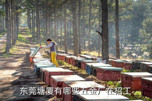 東莞雙盈五金制品廠，東莞有沒有五金廠在招平口工706