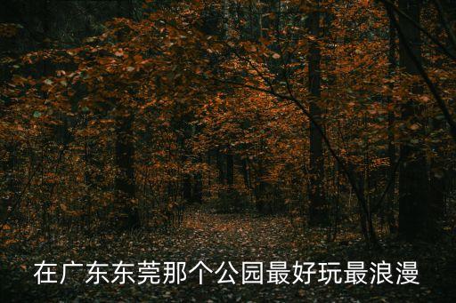 東莞下橋公園好玩嗎，東莞哪個公園最好玩