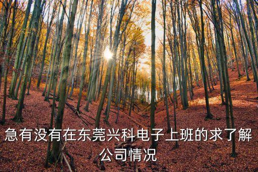 急有沒有在東莞興科電子上班的求了解公司情況