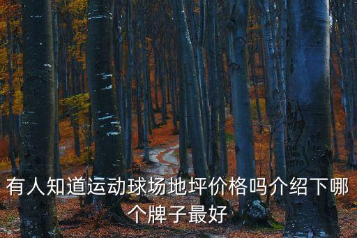 東莞球場地坪漆報價，地坪漆多少錢1平方