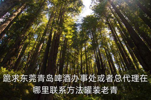 在東莞塘廈哪里有合作做青島扎啤，青島扎啤東莞哪里可以進(jìn)貨