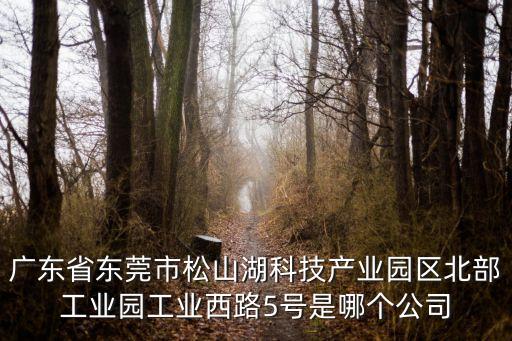 廣東省東莞市松山湖科技產(chǎn)業(yè)園區(qū)北部工業(yè)園工業(yè)西路5號(hào)是哪個(gè)公司