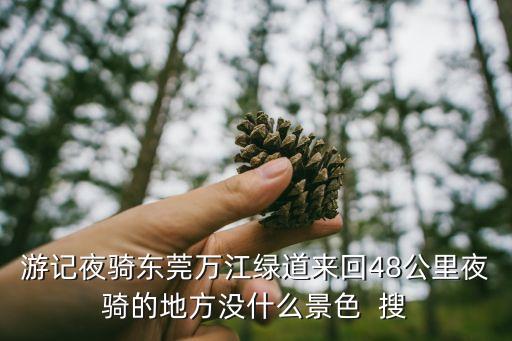游記夜騎東莞萬江綠道來回48公里夜騎的地方沒什么景色  搜