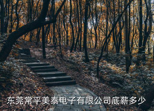 東莞常平美泰電子有限公司底薪多少