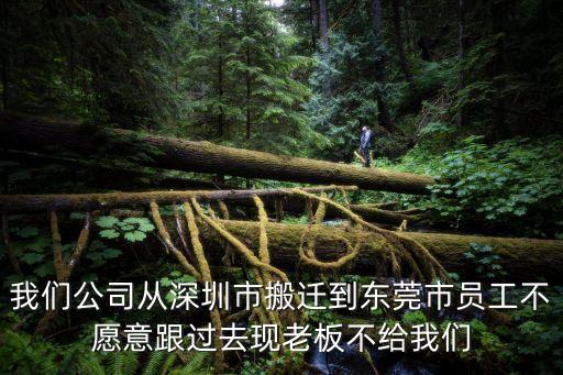 我們公司從深圳市搬遷到東莞市員工不愿意跟過去現(xiàn)老板不給我們