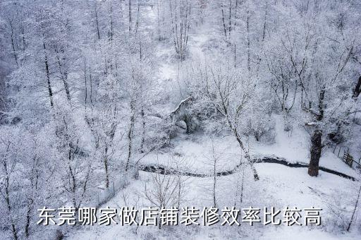 東莞哪家做店鋪裝修效率比較高