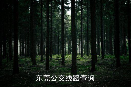 東莞公交線路查詢
