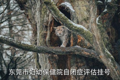 東莞自閉癥申請(qǐng)要受理多少工作日，辦理東莞居住要多久才能拿