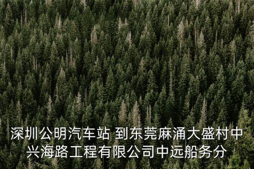 深圳公明汽車站 到東莞麻涌大盛村中興海路工程有限公司中遠船務分