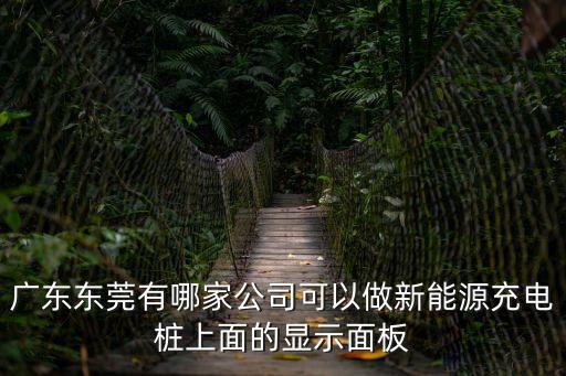 廣東東莞有哪家公司可以做新能源充電樁上面的顯示面板