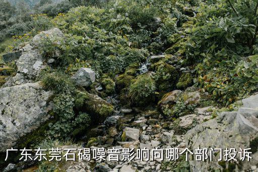 廣東東莞石碣噪音影響向哪個部門投訴