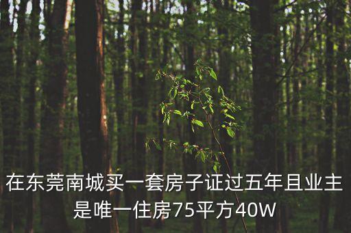 在東莞南城買一套房子證過五年且業主是唯一住房75平方40W