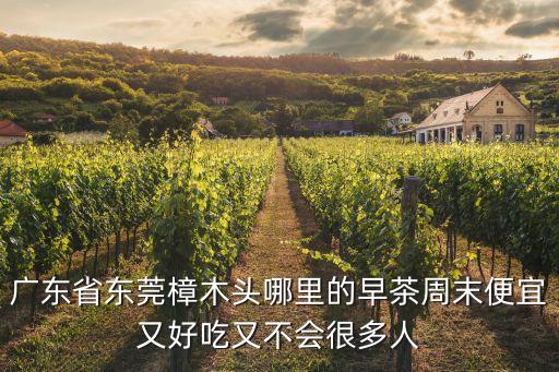 廣東省東莞樟木頭哪里的早茶周末便宜又好吃又不會很多人