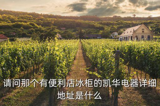 請(qǐng)問那個(gè)有便利店冰柜的凱華電器詳細(xì)地址是什么