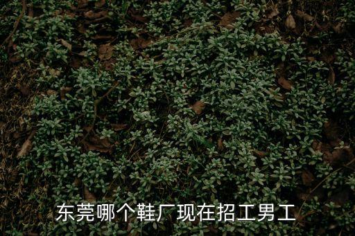 東莞哪個鞋廠現(xiàn)在招工男工