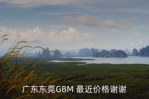 東莞管網修復價格，廣東東莞GBM 最近價格謝謝