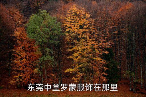 東莞中堂羅蒙服飾在那里