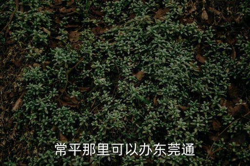 東莞常平公租房在哪里申請，東莞日報常平辦事處的詳細地址