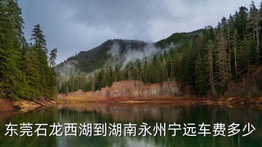 東莞石龍回寧遠，東莞石龍西湖到湖南永州寧遠車費多少