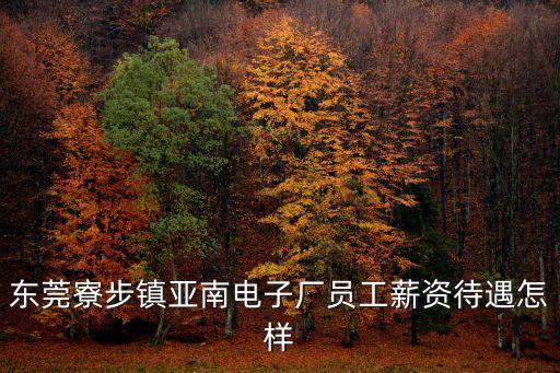 東莞寮步鎮亞南電子廠員工薪資待遇怎樣