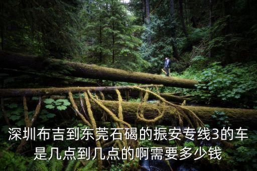 東莞市振安保安服務有限公司公交，深圳布吉到東莞石碣的振安專線3的車是幾點到幾點的啊需要多少錢