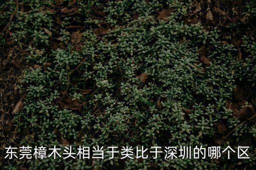東莞樟木頭相當(dāng)于類比于深圳的哪個區(qū)