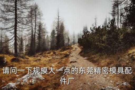 東莞市智捷精密模具配件，請問一下規(guī)模大一點(diǎn)的東莞精密模具配件廠