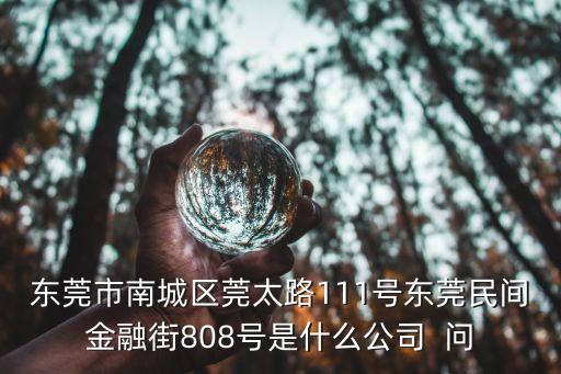 東莞市南城區莞太路111號東莞民間金融街808號是什么公司  問