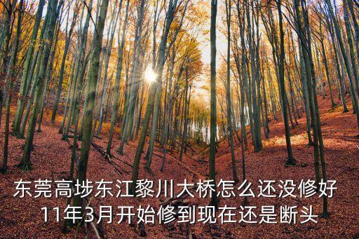東莞高埗東江黎川大橋怎么還沒修好 11年3月開始修到現(xiàn)在還是斷頭