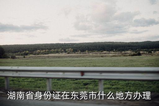 湖南省身份證在東莞市什么地方辦理
