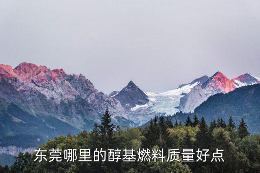 東莞哪里的醇基燃料質(zhì)量好點